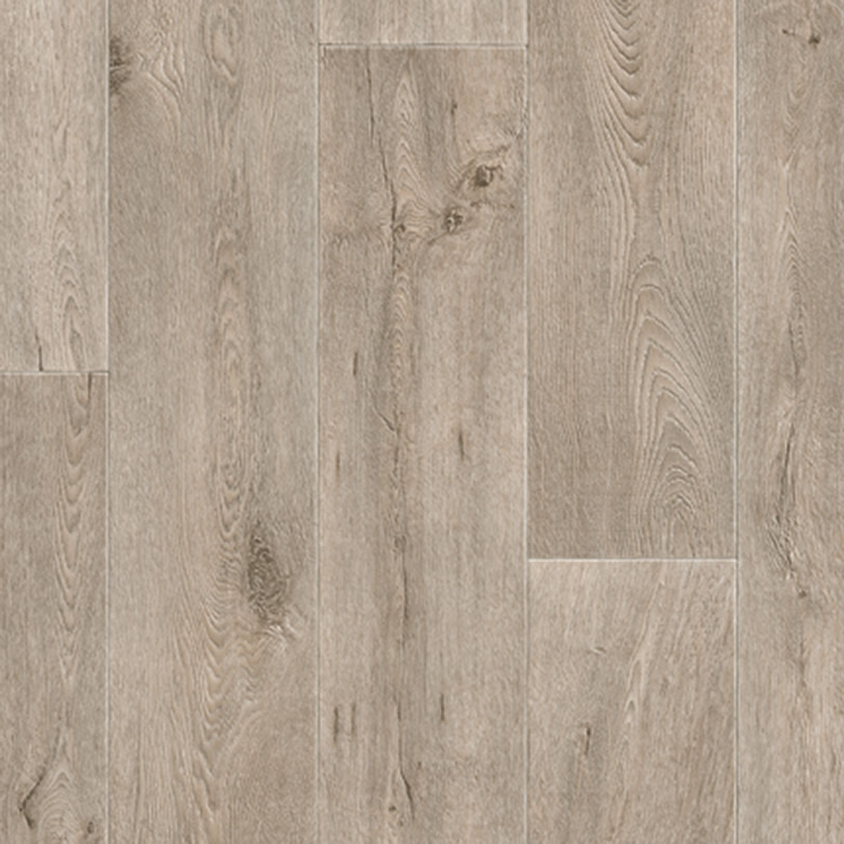 MPlus Standard 2024 141-067 300cm