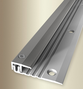 MPlus Abschlussprofil 377 4 -9,5mm 100cm Alu Edelstahl elox. F2 PPS Champion star