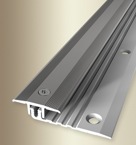 MPlus Übergangsprofil 378 4 -9,5mm 100cm Alu Edelstahl elox. F2 PPS Champion star
