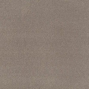 MPlus Ambiente 2025 1306-497 TR 400cm Pacific