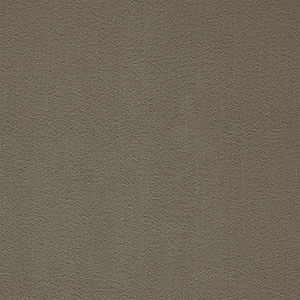 MPlus Avantgarde 2024 1219-047 TR 400cm