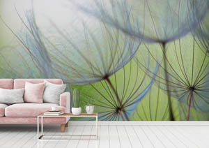 M-Plus Chamäleon 2029 - 276 - Pusteblumen - Tapeten