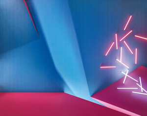 Vorwerk Exclusive 1023 Nandou Couponbezug