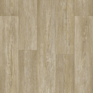 MPlus Premium 2025 270-4044 400 cm