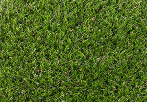 MPlus Outdoor 915 500 cm Outdoor 2024