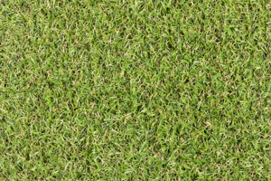 MPlus Outdoor 916 500 cm Outdoor 2024