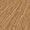 MPlus WohnDesign 2023 D1370-118 2,0mm summer oak golden 18,0x120,0 3,89qm/Pck