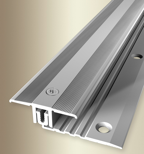 MPlus Übergangsprofil 288 6,5-16mm 100cm Alu Silber elox. F4 PPS Champion