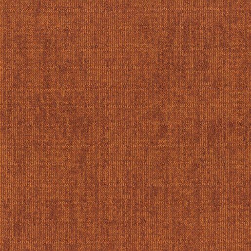 MPlus Avantiles 2026 Tile 205-273