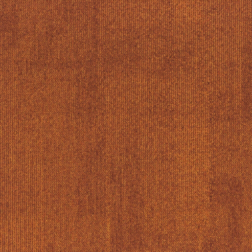 MPlus Avantiles 2026 Tile 206-273