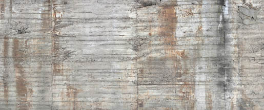 MPlus Chamäleon 2029 V100-10 600x250cm Betonzaun Strukturvlies