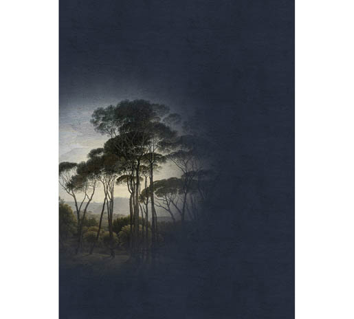 MPlus Chamäleon 2029 V200-131 200x270cm Fresco 5 200g/qm Premiumvlies