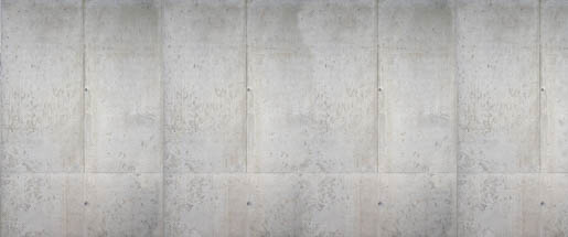 MPlus Chamäleon 2029 V100-13 600x250cm Beton 1 Strukturvlies