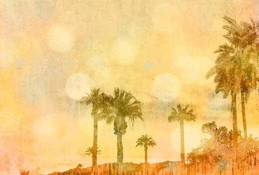 MPlus Chamäleon 2029 V100-163 400x270cm Palm Oasis 1 Strukturvlies