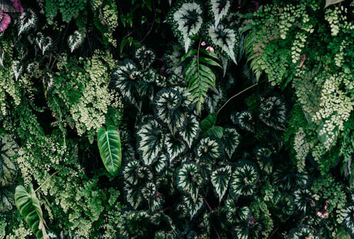 MPlus Chamäleon 2029 V600-229 400x270cm Deep Green 2 130 g/qm Mattvlies