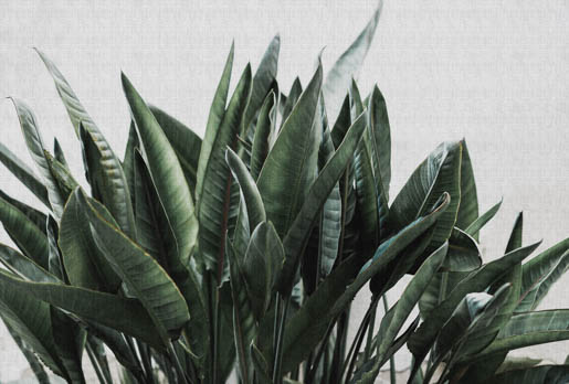 MPlus Chamäleon 2029 V600-234 400x270cm Urban Jungle 2 130 g/qm Mattvlies