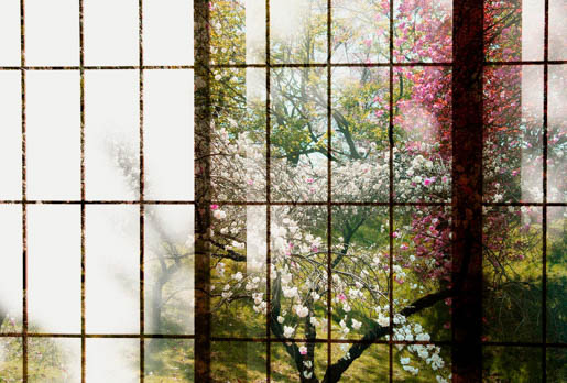 MPlus Chamäleon 2029 L9060-236 90x60cm Orchard 1 Leinwand