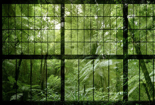 MPlus Chamäleon 2029 L12080-238 120x80cm Rainforest 2 Leinwand