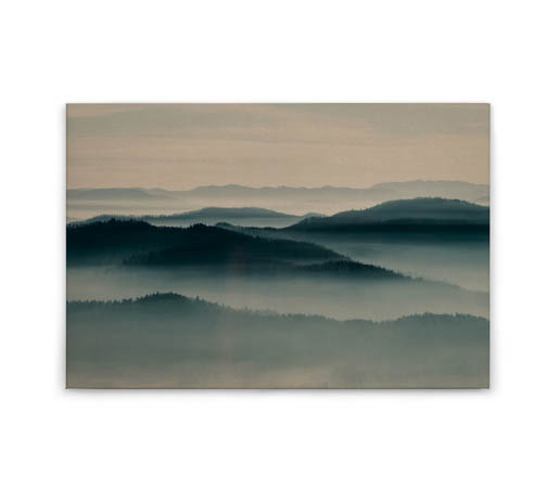 MPlus Chamäleon 2029 V600-239 400x270cm Horizon 1 130 g/qm Mattvlies