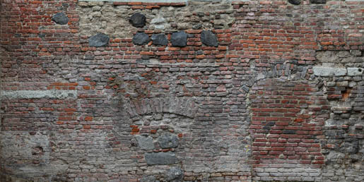 MPlus Chamäleon 2029 V100-24 500x250cm Ziegel 2 Strukturvlies