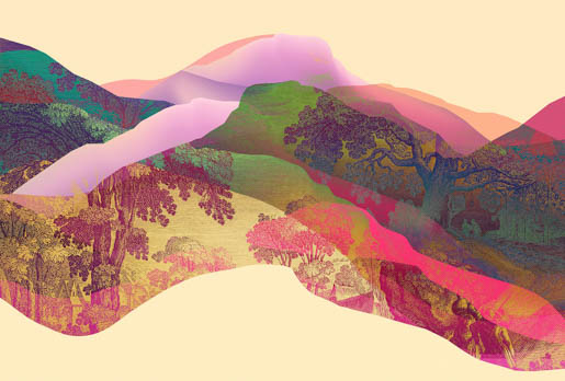 MPlus Chamäleon 2029 V600-254 400x270cm Magic Mountain 2 130 g/qm Mattvlies