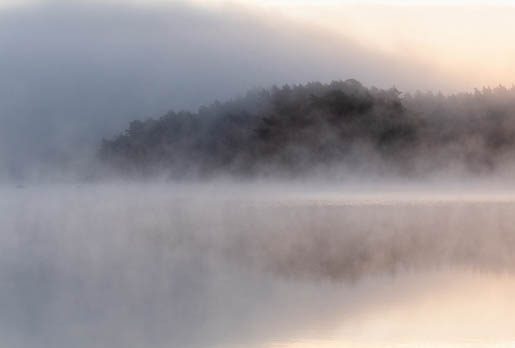 MPlus Chamäleon 2029 V100-258 400x270cm Avalon 1 Strukturvlies