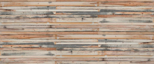 MPlus Chamäleon 2029 L9060-42 90x60cm Holzbrett bunt Leinwand