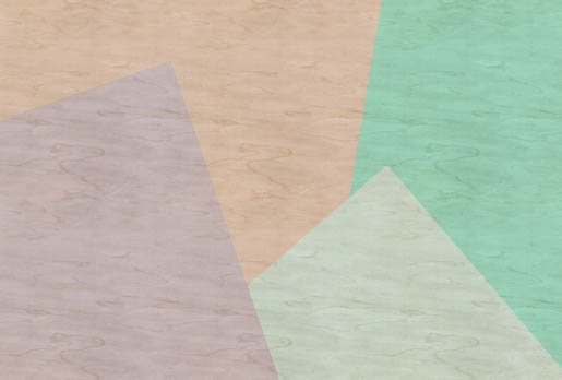 MPlus Chamäleon 2029 V100-74 400x270cm Inlay 1 Strukturvlies