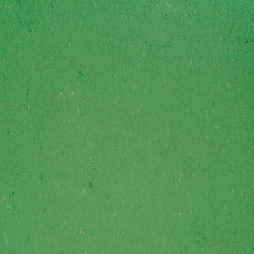 MPlus Elast L 2024 Colorette 4030-0006