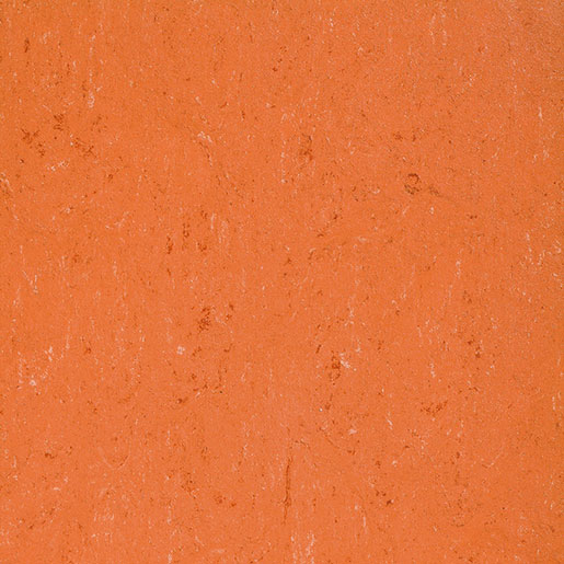 MPlus Elast L 2024 Colorette 4030-0016