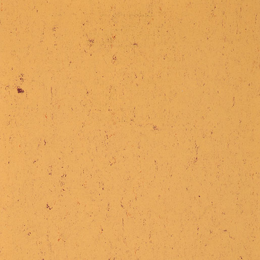 MPlus Elast L 2024 Colorette 4030-0073