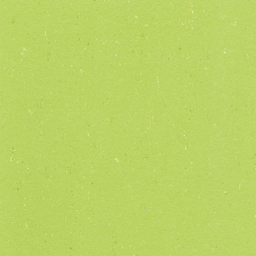 MPlus Elast L 2024 Colorette 4030-0132