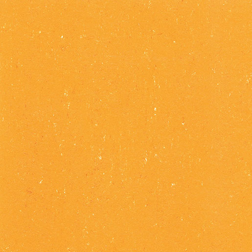 MPlus Elast L 2024 Colorette 4030-0171