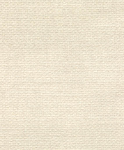 MPlus Pro Arte 2026 Tapete 50501