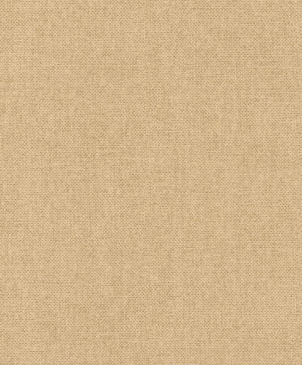 MPlus Pro Arte 2026 Tapete 50502