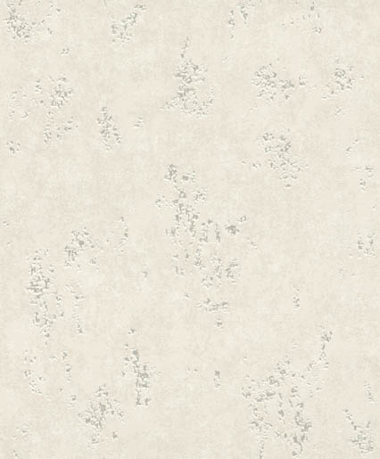 MPlus Pro Arte 2026 Tapete 50510