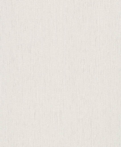 MPlus Pro Arte 2026 Tapete 50543