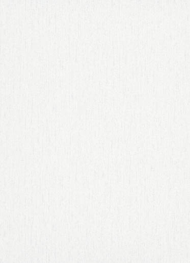 MPlus Pro Arte 2026 Tapete 50568