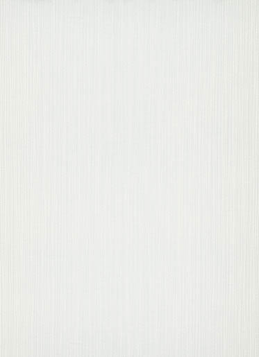 MPlus Pro Arte 2026 Tapete 50595