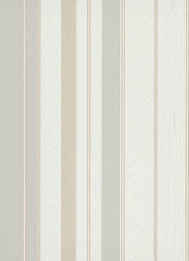 MPlus Pro Arte 2026 Tapete 50597