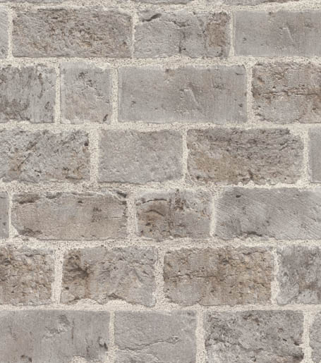 MPlus Pro Arte 2026 Tapete 50611