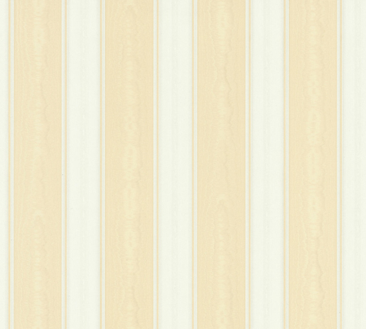 MPlus Pro Chic 2025 Tapete 55057