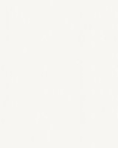 MPlus Pro Chic 2025 Tapete 55061