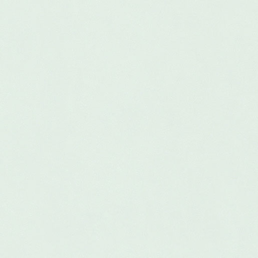 MPlus Pro Vlies 2024 Tapete 59612