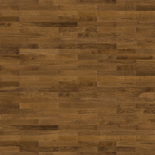 MPlus Solo 2023 Parkett 540176