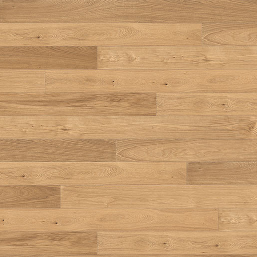 MPlus Solo 2023 Parkett 540986