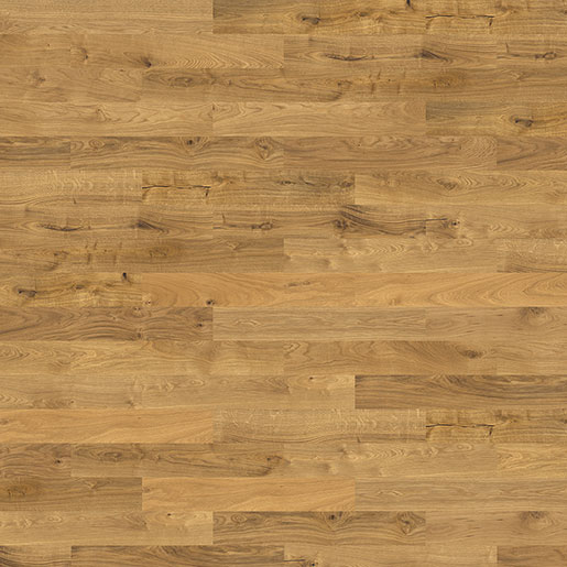 MPlus Solo 2023 Parkett 540179