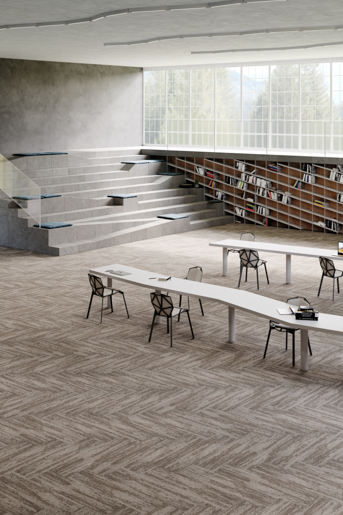 MPlus Avantiles 2026 Tile 202-789