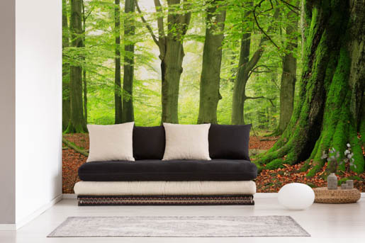 MPlus Chamäleon 2029 V100-268 400x250cm Moosbäume Strukturvlies