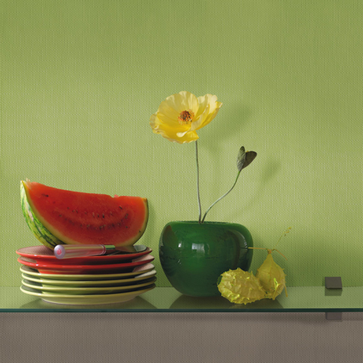 Erfurt Vliesfaser 543 Pro 10,05m x 0,53m